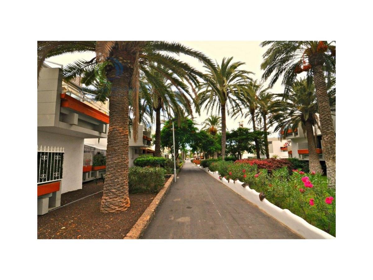 Apartamento Primavera Costa Del Silencio Exteriér fotografie